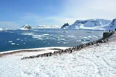 Antarctica